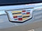 2023 Cadillac Escalade ESV Premium