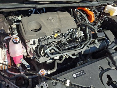 2023 Toyota Sienna Platinum 7 Passenger