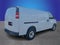 2020 Chevrolet Express 2500 Work Van Cargo
