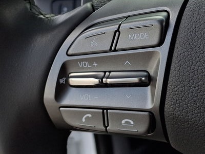 2021 Hyundai Ioniq Electric Limited